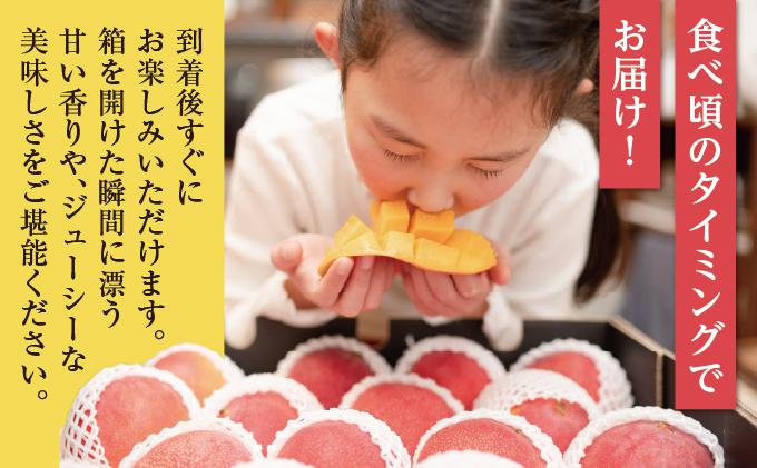 【2026年発送】＜優品＞完熟アップルマンゴー約2kg（化粧箱）3玉～6玉