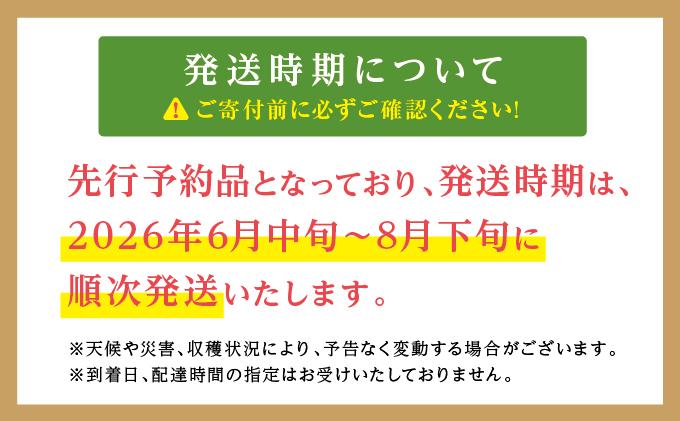 【2026年発送】＜優品＞完熟アップルマンゴー約800g（化粧箱）2玉～3玉   I  アップルマンゴー あっぷるまんごー マンゴー まんごー トロピカルフルーツ フルーツ 完熟 ギフト 800g   沖縄県 南城市