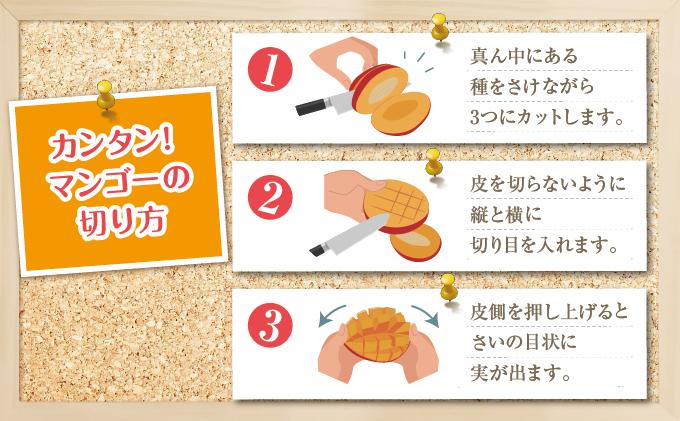 【2026年発送】＜優品＞完熟アップルマンゴー約800g（化粧箱）2玉～3玉   I  アップルマンゴー あっぷるまんごー マンゴー まんごー トロピカルフルーツ フルーツ 完熟 ギフト 800g   沖縄県 南城市