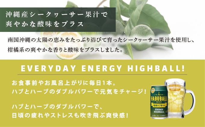 【6ヶ月定期便】琉球ハブボール350ml×24缶