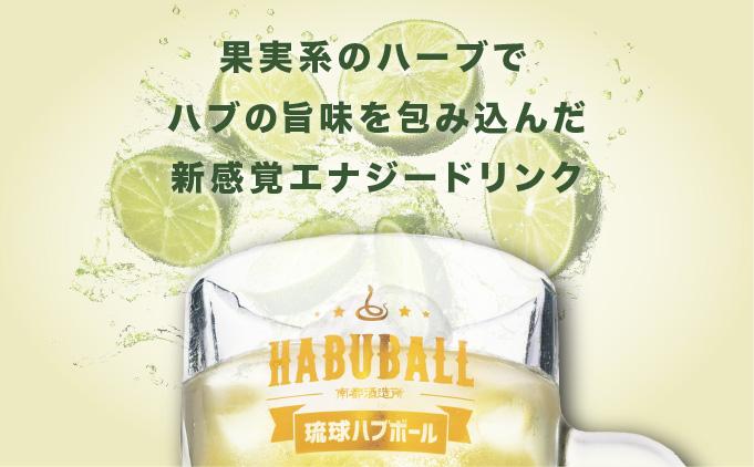 【3ヶ月定期便】琉球ハブボール350ml×24缶