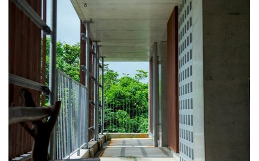 朝陽の宿　涼風_日常を忘れるツインルームステイ【ペア宿泊1泊朝食付き】