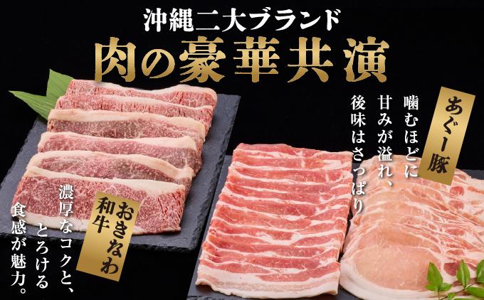 【ふるさと納税】沖縄あぐー豚＆おきなわ和牛の贅沢食べ比べセット（2.5kg）   I  アグー豚 あぐー豚 あぐ～豚 豚肉 ぶた肉 ブランド豚 沖縄豚  2500g 2.5kg   沖縄県 南城市 ふるさと納税 沖縄県食肉センター