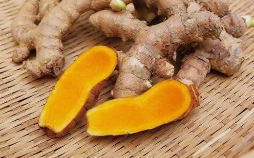 ウコンのふるさと沖縄南城市【秋うこん粒】