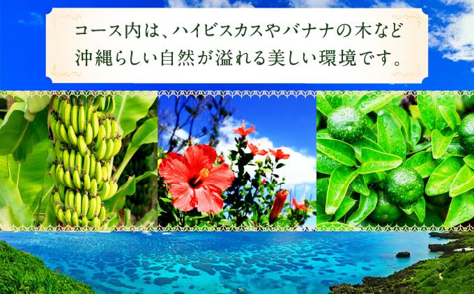 ãççãŽã«ãå¶æ¥œéšããã¬ãŒåžïŒ1ååïŒ I çç ãŽã«ã ãã¬ãŒåž æ²çžç åååž