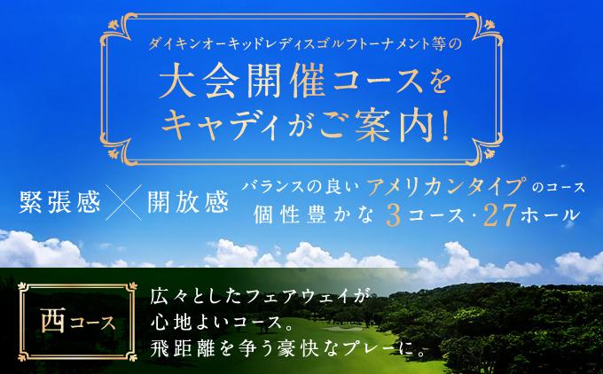 ãççãŽã«ãå¶æ¥œéšããã¬ãŒåžïŒ1ååïŒ I çç ãŽã«ã ãã¬ãŒåž æ²çžç åååž