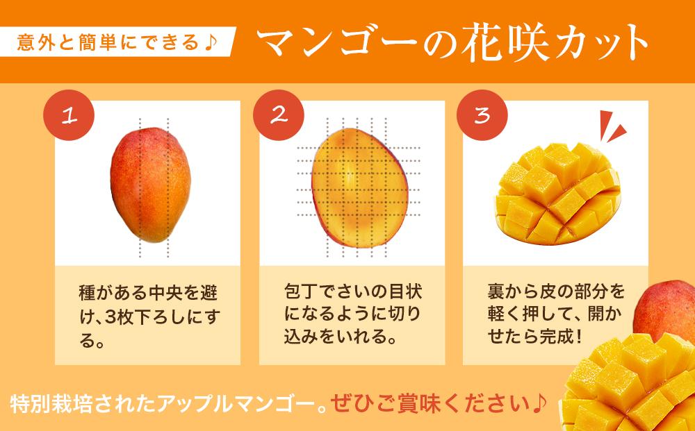 【2024年発送】特別栽培アップルマンゴー1kg（2～3個）