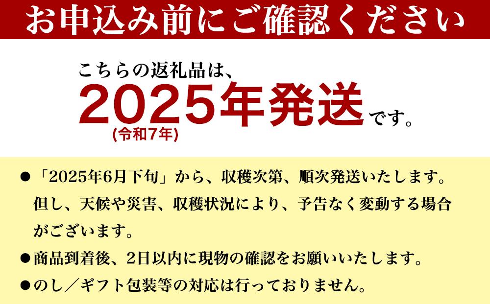 ★【先行受付】【2025年発送】アップルマンゴー 秀品 南城市 約1kg (2～3玉)