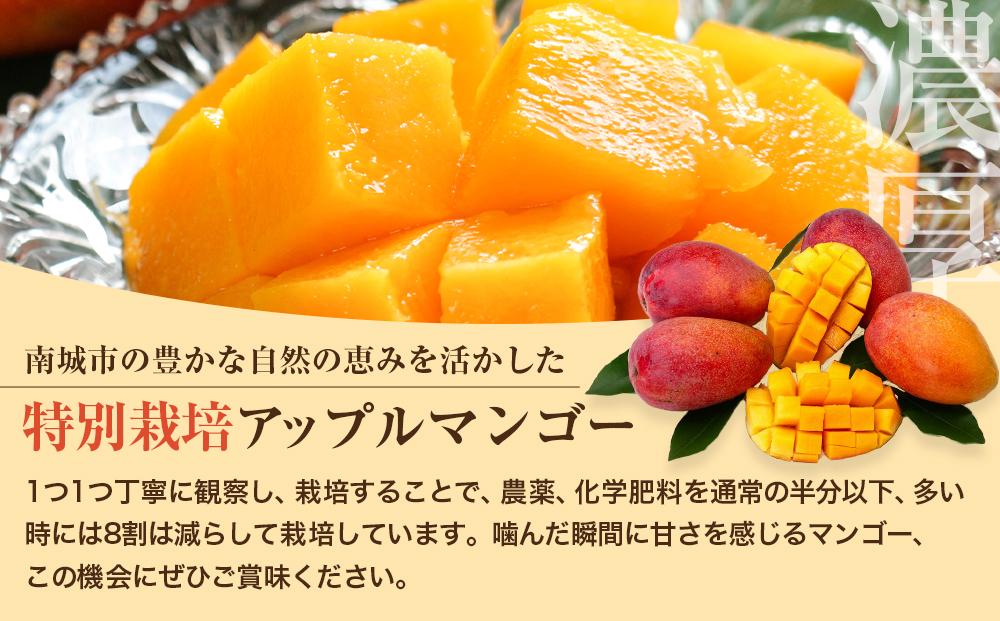 【2024年発送】特別栽培アップルマンゴー2kg（4個～7個）