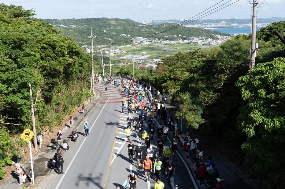 【沖縄県南城市】 2024 第21回 琉球国王  尚巴志ハーフマラソンin南城市  出走権（1名分）