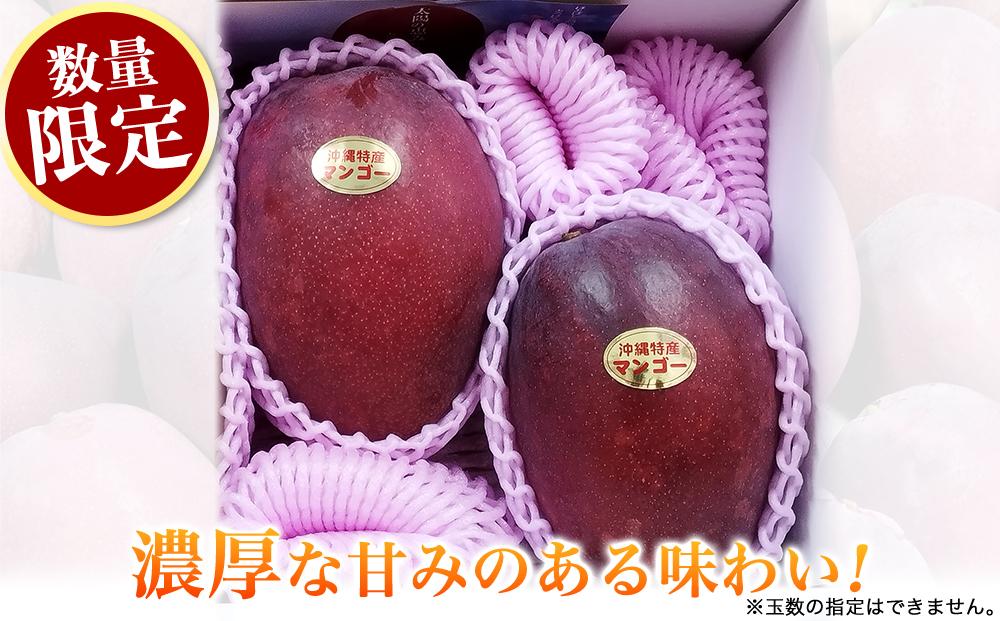 ★【先行受付】【2025年発送】アップルマンゴー 秀品 南城市 約1kg (2～3玉)