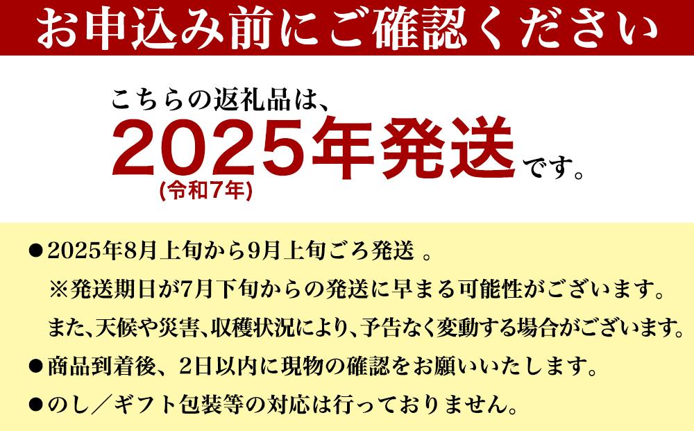 【先行受付】【2025年発送】キーツマンゴー 南城市 約2kg (2～3玉)