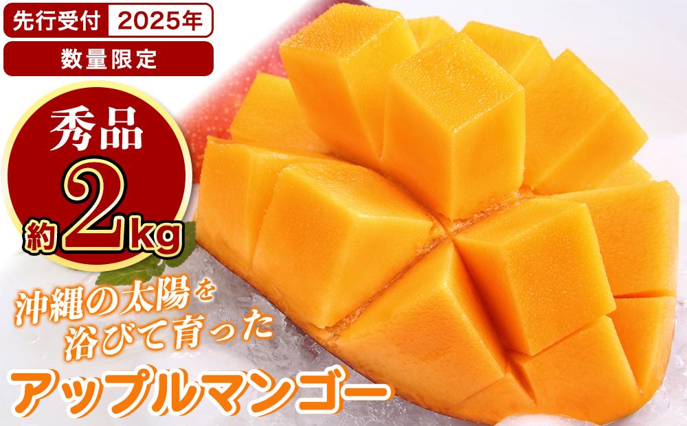 ★【先行受付】【2025年発送】アップルマンゴー 秀品 南城市 約2kg (3～5玉)