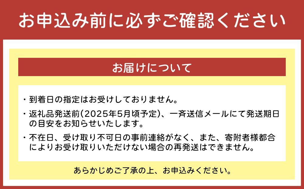 【2025年発送】＜優品＞完熟アップルマンゴー約2kg（化粧箱）3玉～6玉