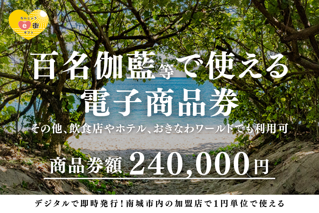 【JALの旅先納税】電子商品券「なんじょうe街ギフト」240,000円分