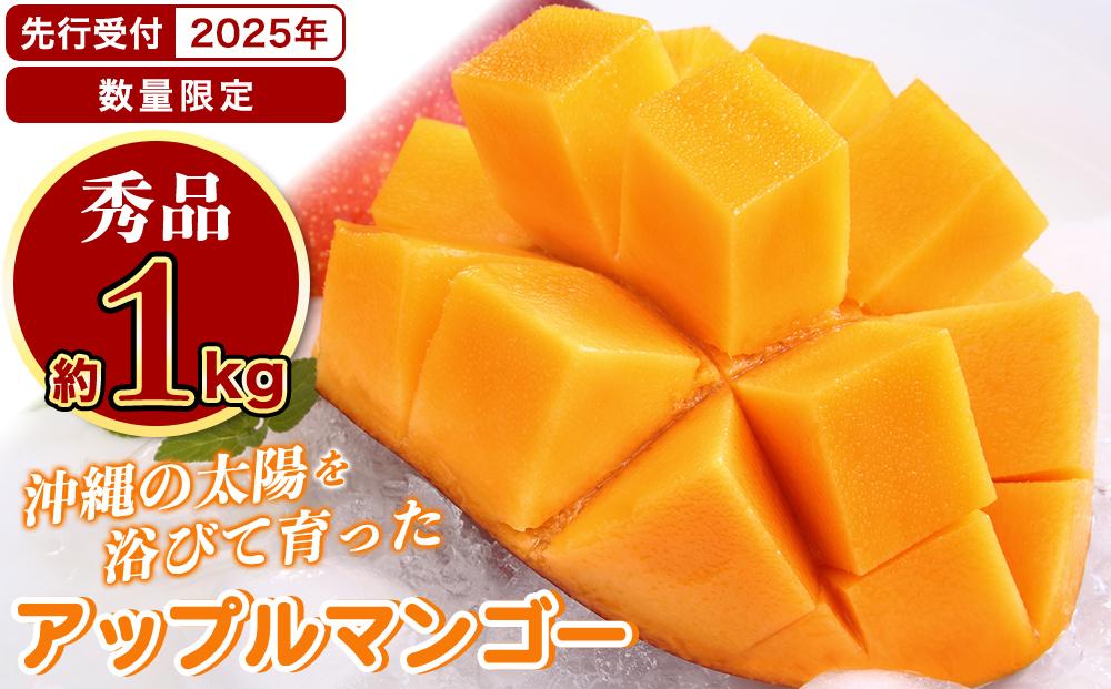 ★【先行受付】【2025年発送】アップルマンゴー 秀品 南城市 約1kg (2～3玉)