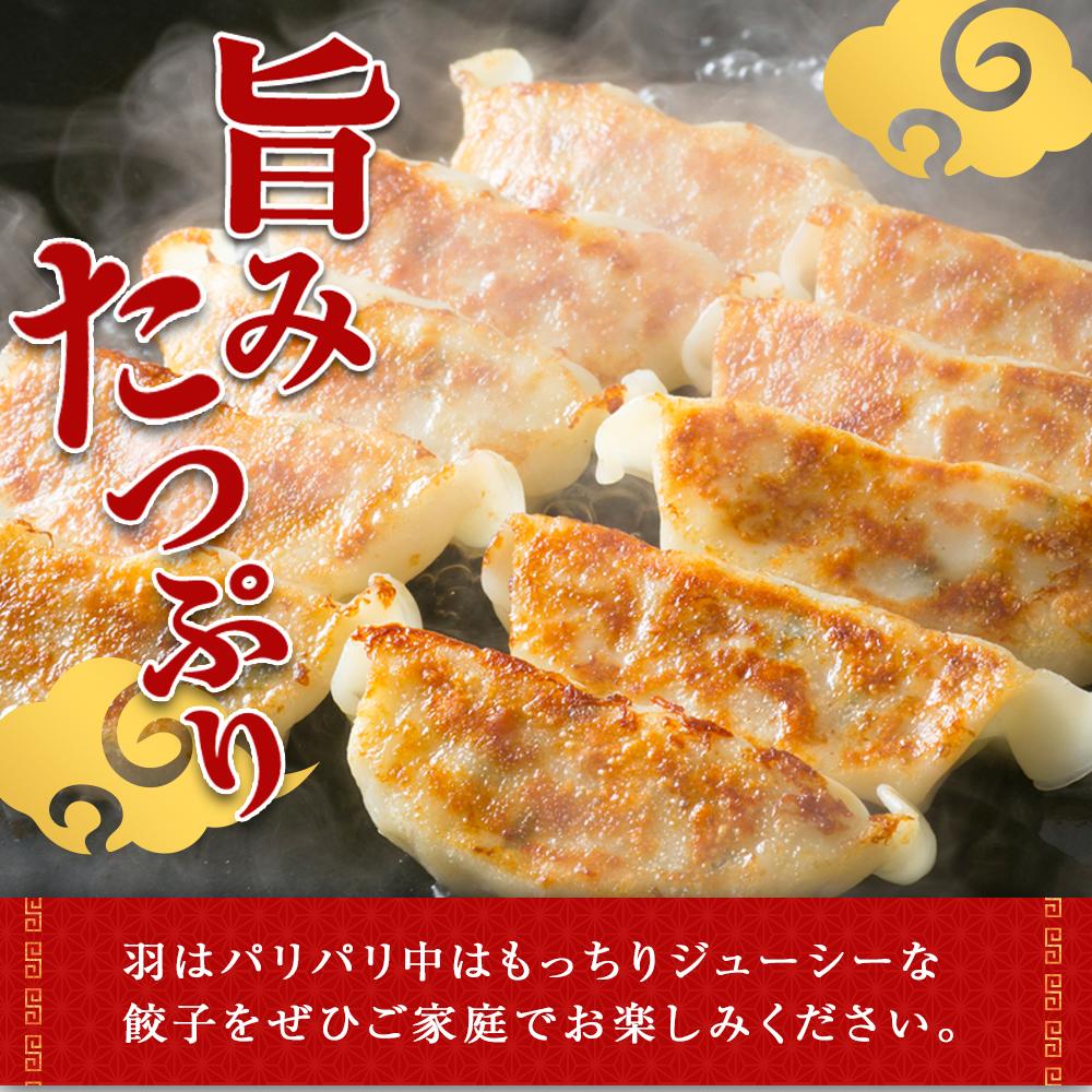 【定期便3ヶ月】美ら島あぐ～ 餃子 4パック×20個×3ヶ月