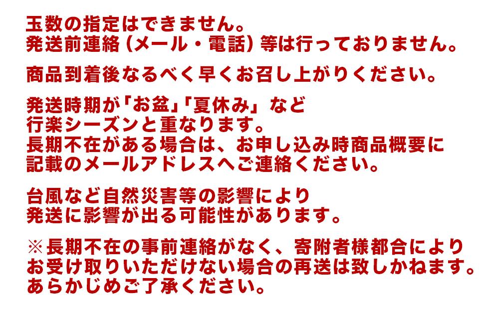 【先行予約】訳ありだけど完熟　自分へのご褒美アップルマンゴー　800ｇ