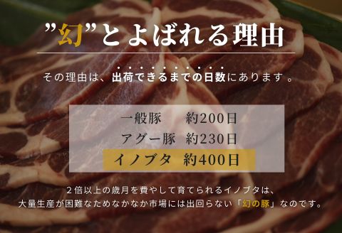 【JAL限定/数量限定】「国頭イノブタ」一頭まるごとセット　約40㎏前後