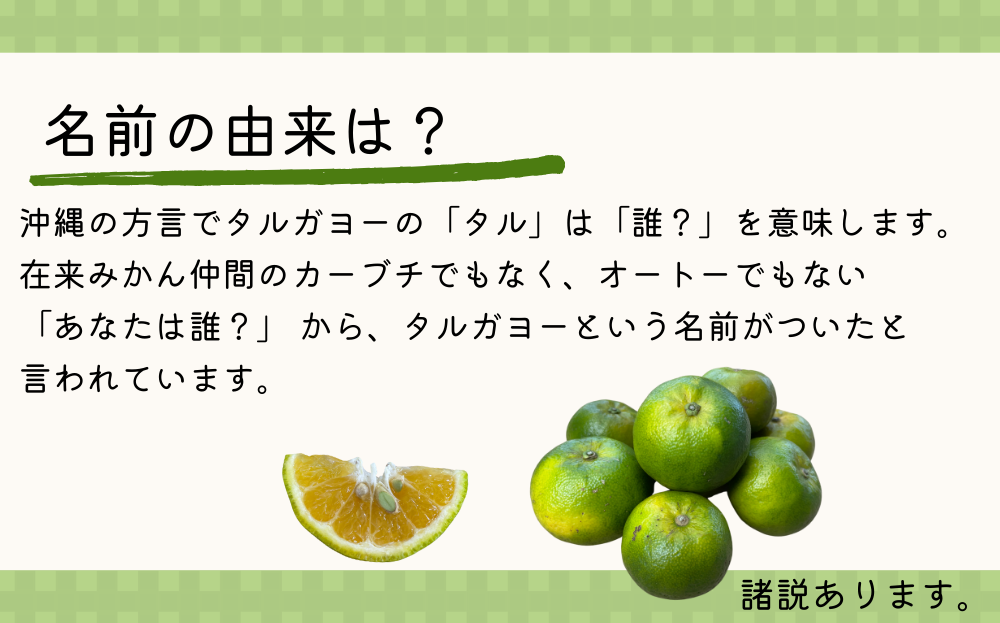 【2024年11月発送】地元で愛されてきた在来みかん「タルガヨー」5kg	