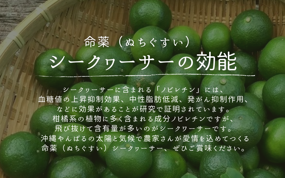 【2025年9月発送】ゆいゆい国頭厳選！青切りシークヮーサー3㎏