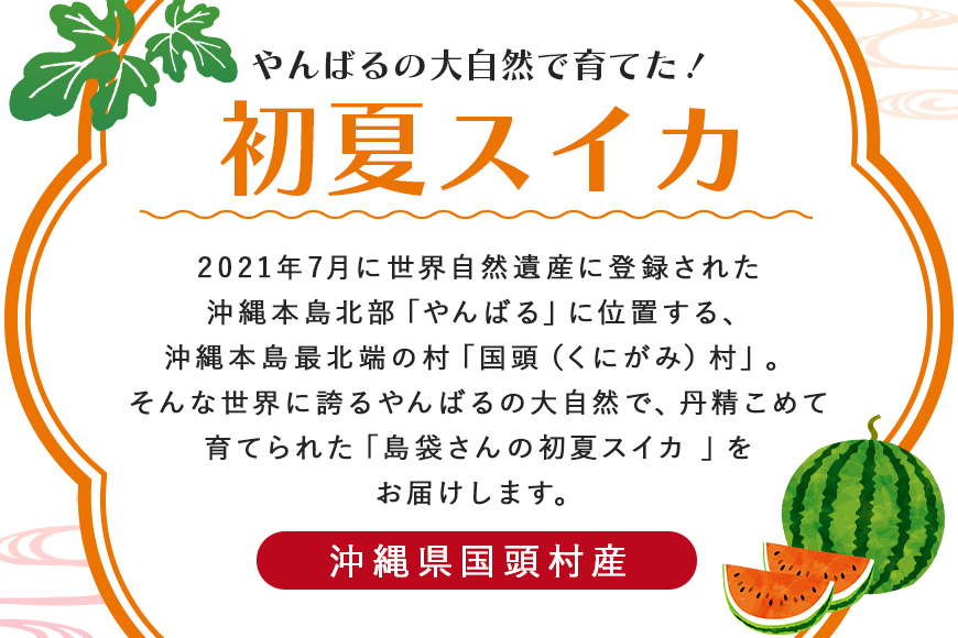 【2025年発送 先行予約】島袋さんの初夏スイカ《5～7Kg×2玉》	