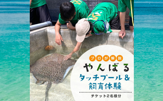 見て・触って・学べる!やんばるタッチプール&飼育体験チケット2名様【1613754】