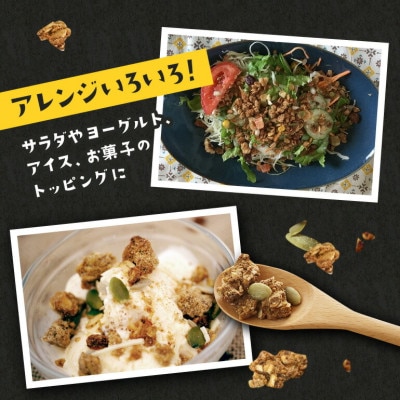 【毎月定期便】タイガーナッツ グラノーラ(プレーン)110g×5袋全3回【4062998】