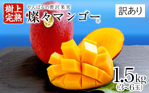 【2025年発送・訳あり】燦々マンゴー1.5kg(3〜6玉)【配送不可地域：離島】【1619685】