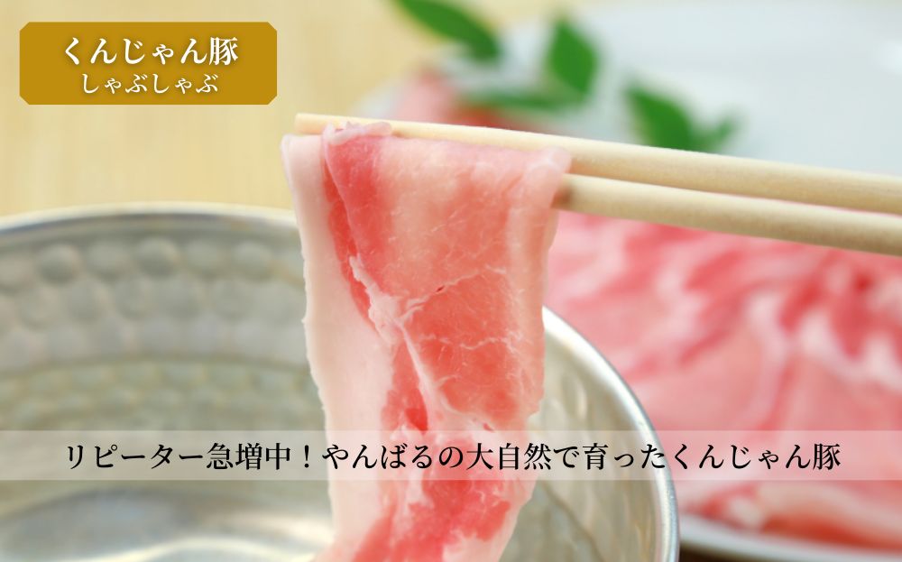 【定期便 全4回】生産農家を応援！国頭村のお肉づくし フルコース便