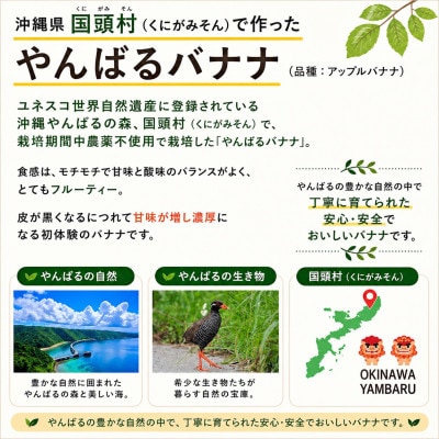 【栽培期間中農薬不使用】やんばるバナナ1.5kg(7〜20本)【1579241】