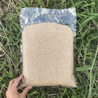 【令和7年産新米】沖縄の農家直送 ひとめぼれ 玄米(栽培期間中農薬不使用)2kg【1636996】