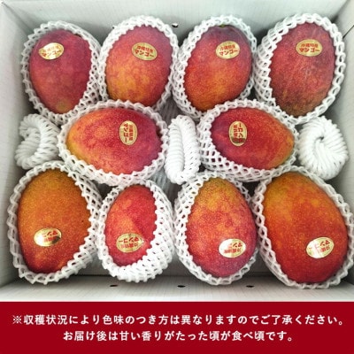 【2026年6月から順次発送】優品アーウィンマンゴー5kg(8〜12玉)【配送不可地域：離島】【1584603】