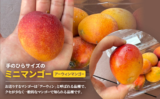 【2026年6月から順次発送】数量限定の訳ありミニマンゴー1kg【配送不可地域：離島】【1634008】