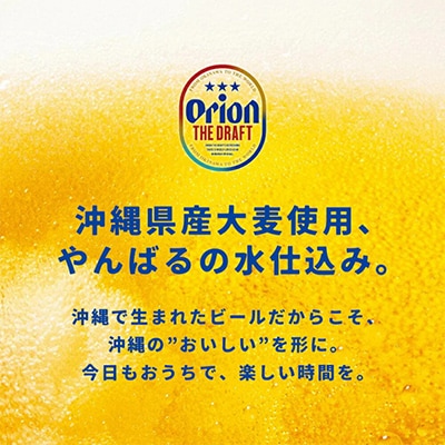 【ビール特産品セット】オリオン ザ・ドラフト&国頭村の島らっきょう【複数個口で配送】【配送不可地域：離島】【4014725】