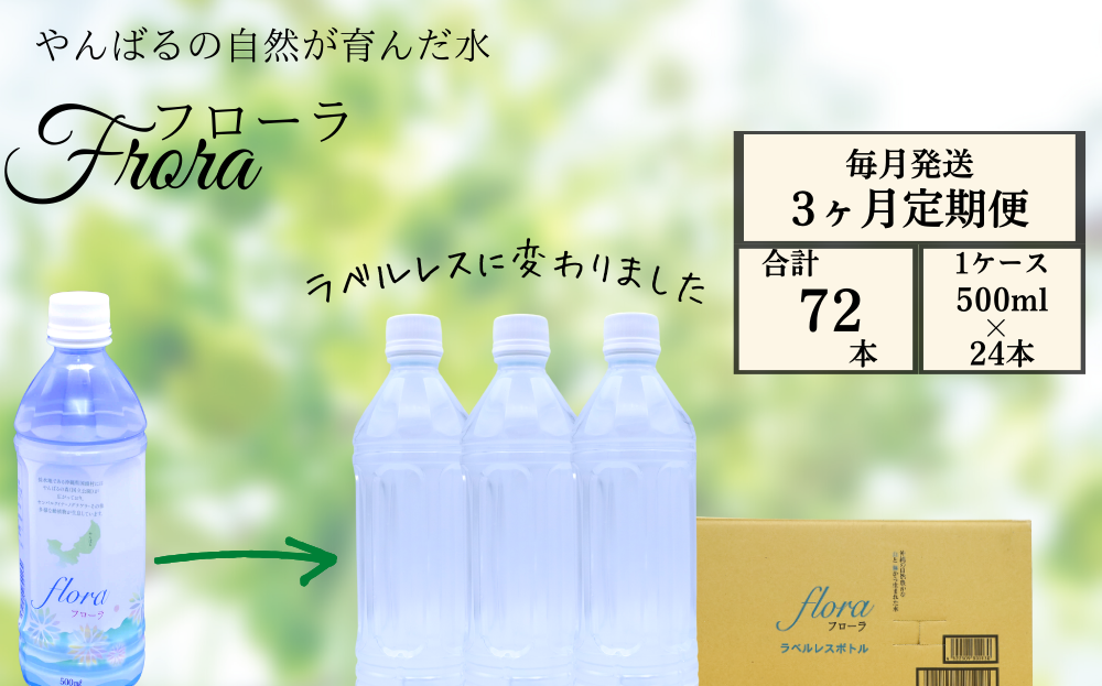 【3ヶ月定期便】やんばるの水 Flora【フローラ】500ml 24本　【ラベルレス/軟水】		