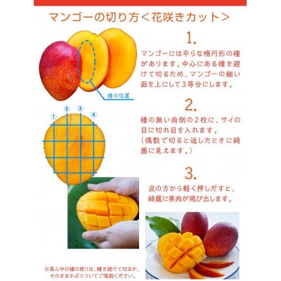 【2026年7月から順次発送・訳あり】燦々マンゴー2.4kg(4〜6玉)【配送不可地域：離島】【1619692】