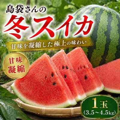 【2027年2月中旬から順次発送】島袋さんの冬スイカ 1玉(3.5〜4.5kg)【配送不可地域：離島】【1577664】