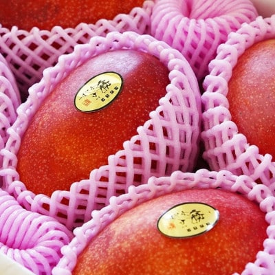 【2025年発送・優品】燦々マンゴー2.0kg(4〜6玉)【配送不可地域：離島】【1619777】