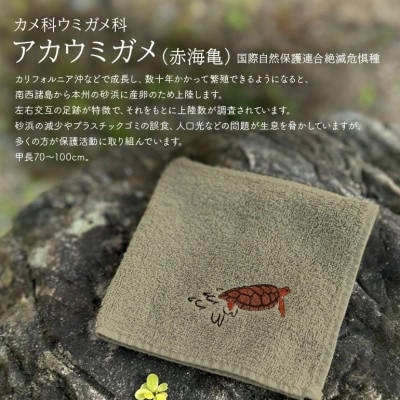 地域の自然を守るタオル やんばるの海と森を想う 3枚セット【1606929】