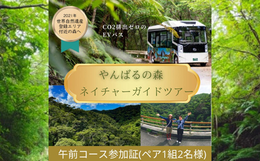 【一ヶ月前予約必須】やんばるの森ネイチャーガイドEVバスツアー 平日午前コース(ペア1組2名様分)【1606954】