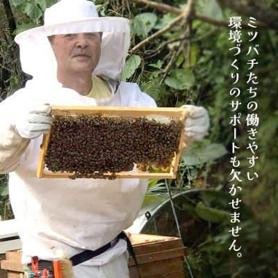 やんばるpure生蜂蜜(国産はちみつ) 甘い百花蜜 180g×2瓶【1581388】