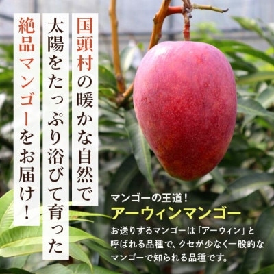 ã2026幎6æããé æ¬¡çºéãç§åã¢ãŒãŠã£ã³ãã³ãŽãŒ2kg(3ã6ç)ãé
éäžå¯å°åïŒé¢å³¶ãã1584606ã