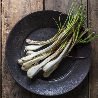 【2026年5月上旬から順次発送】農家直送!国頭村・島袋さんの採れたて島らっきょう 1kg【1672232】