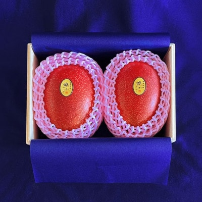 【2026年7月から順次発送・最高級ランク極】燦々マンゴー900g(2玉)【配送不可地域：離島】【1622439】