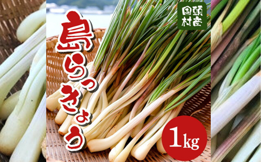 【2026年2月中旬から順次発送】産地直送!沖縄おつまみの定番の島らっきょう1kg【1584610】