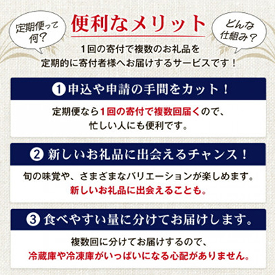 【毎月定期便】オリオン ザ・プレミアム(350ml×24本)全3回【4062057】