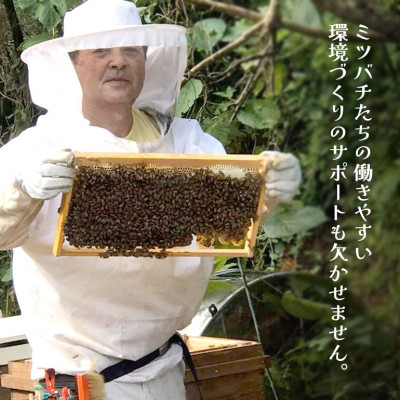 やんばるpure生蜂蜜(国産はちみつ) 甘い百花蜜 180g×4瓶【1581392】