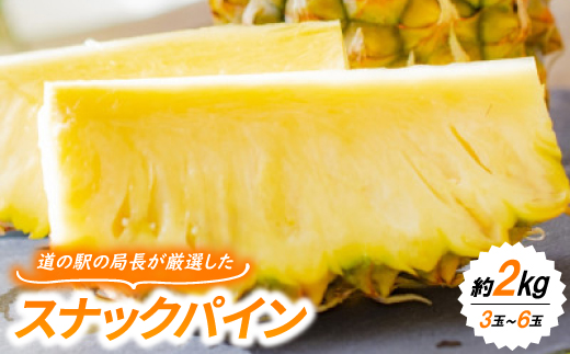 【2026年7月上旬より順次発送】道の駅の局長が厳選した「スナックパイン」約2kg(3玉〜6玉)【配送不可地域：離島】【1676720】