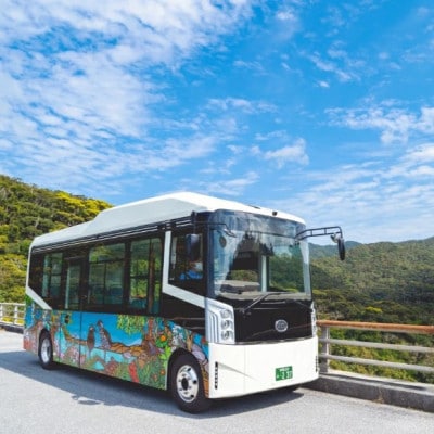 ã1ã¶æåäºçŽå¿
é ãããã°ãã®æ£®ãã€ãã£ãŒã¬ã€ãEVãã¹ãã¢ãŒ ååã³ãŒã¹ 貞å(æå€§16åä¹è»å¯èœã1606966ã